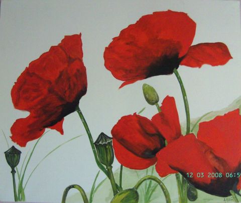 les coquelicots